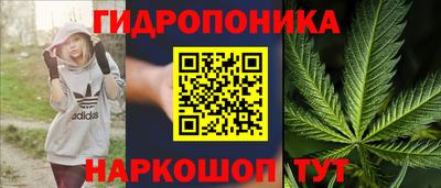 гидропоника Рязань